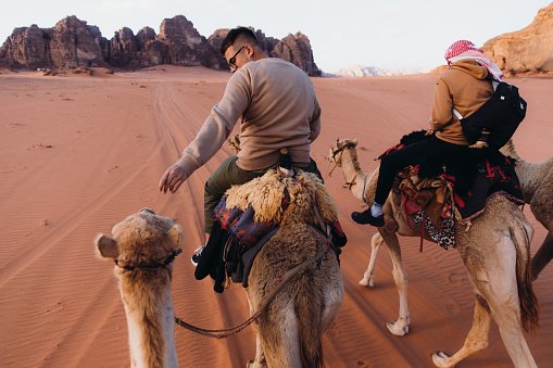 Three mixed-raced males explorers having camel riding through the majestic arid desert landscape during bright sunset in the Middle East