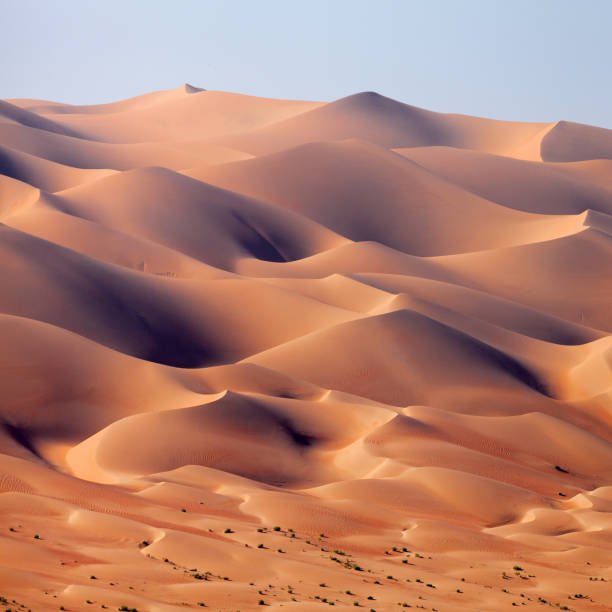 Picturesque desert landscape in the UAE, majestic sand dunes. High resolution photo.