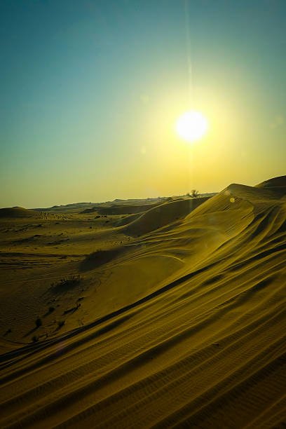 Sunset with sand dunes in desert