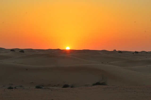 desert view during sunset