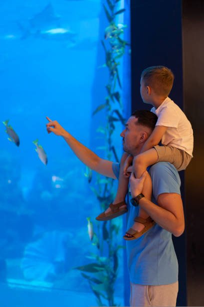 Dad and son spend time together in the Aquarium. Son sits on dad's back and explores the underwater world