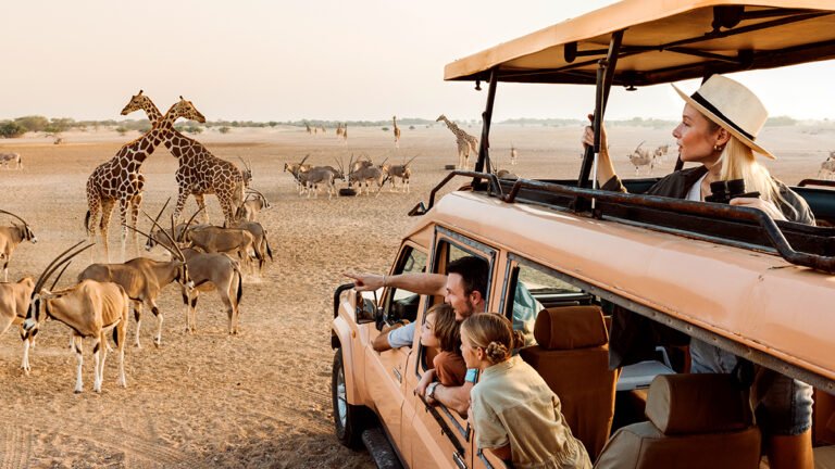 Safari Tour At Arabian Wildlife Park